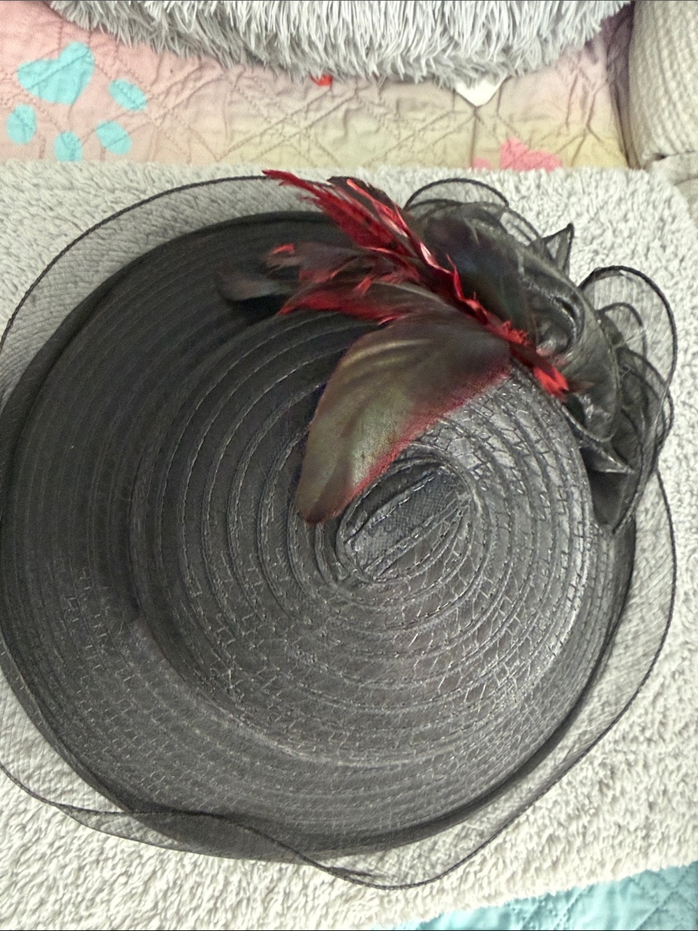 Elegant Black Feathered Wide-Brim Dress Hat